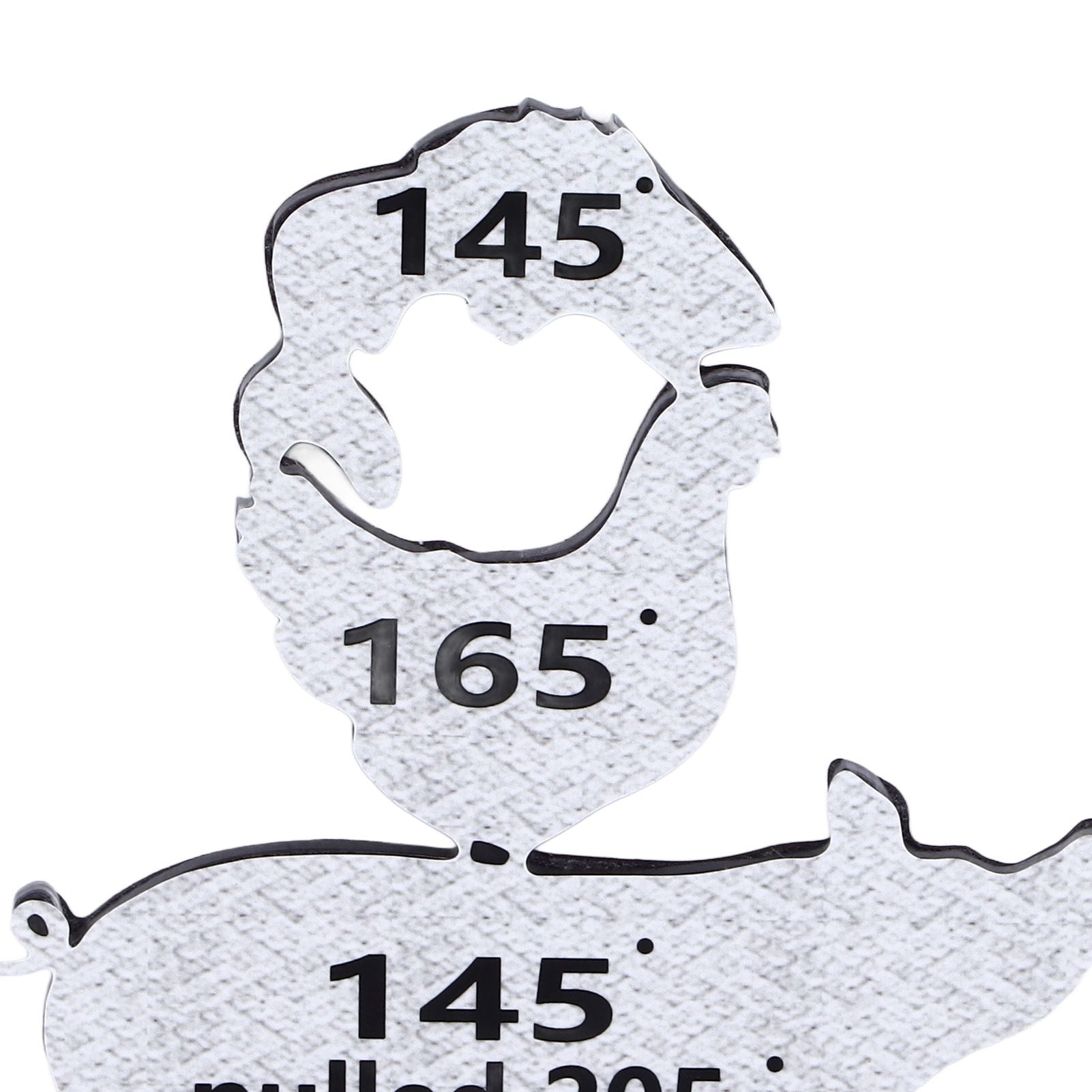 Meat Temperature Magnet Animal Internal Temperature Guide Acrylic Beef Pork Chicken Fish Grill Accessory for BBQ Cooking