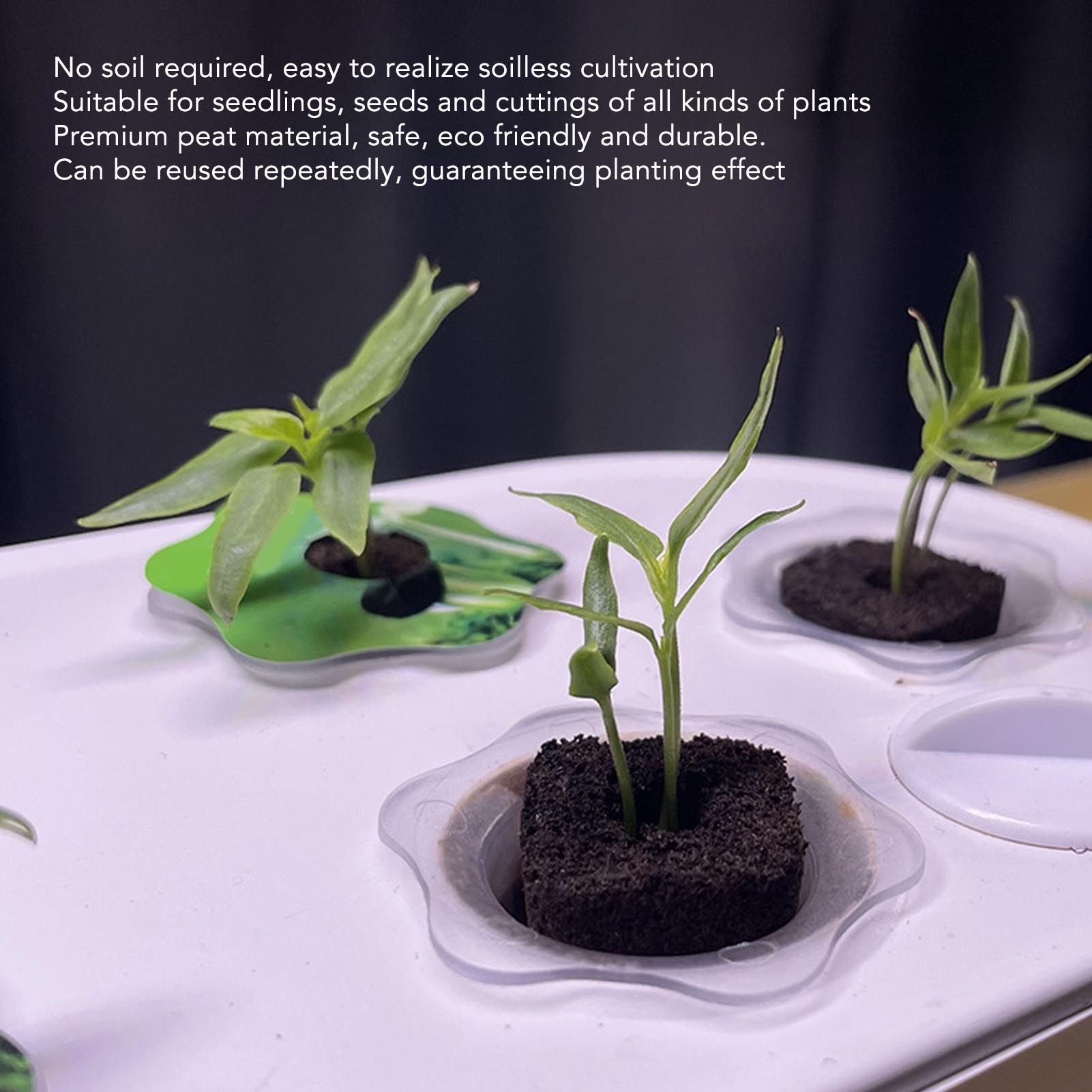 50 Pcs Seedling Block Peat Planting Block for Gardening Hydroponics Soilless Cultivation Plants Germination HRD TN0719