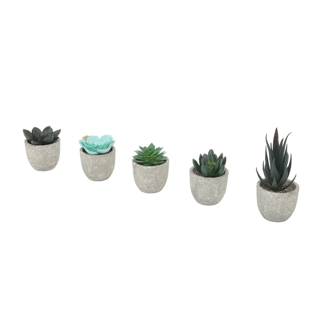 5pcs Artificial Succulent Plants Potted Assorted Mini Decorative Faux Succulent Potted Fake Plants Succulents in Paper Pulp Pot