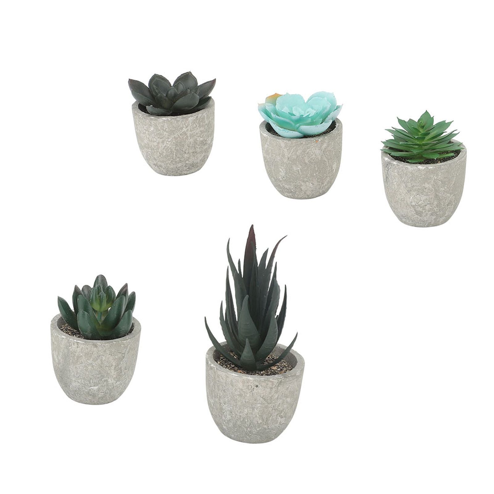 5pcs Artificial Succulent Plants Potted Assorted Mini Decorative Faux Succulent Potted Fake Plants Succulents in Paper Pulp Pot