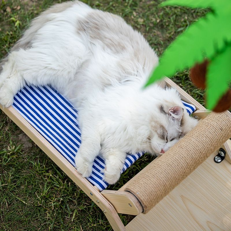 Lailey Cat Coconut Tree Climbing Frame Sisal Post [Solid wood multilayer] Coconut tree roller bed