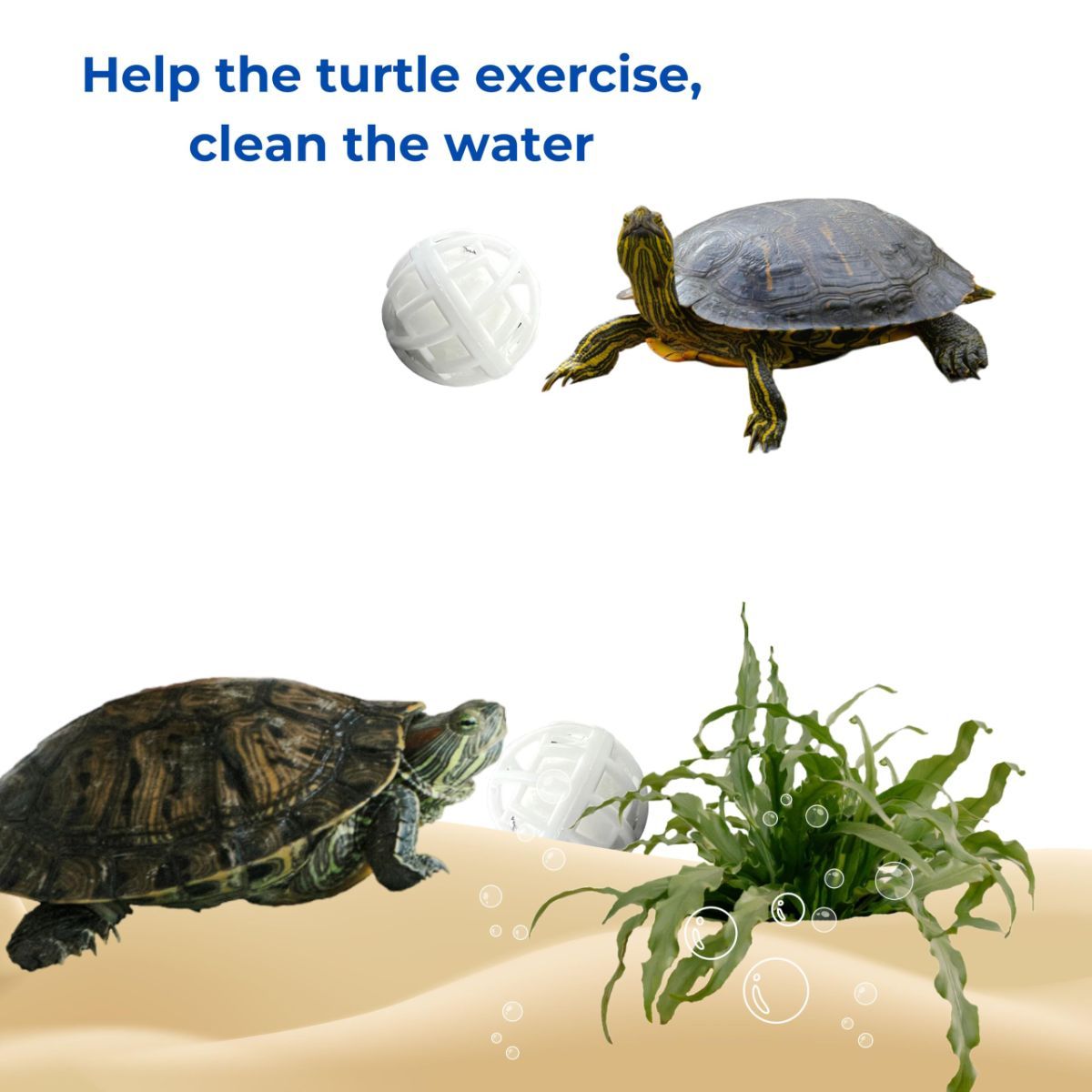 Fish Feeding Box Ring for Turtle with Filter Ball Set, Fish Feeder Ring and Nitrifying Ball, Betta Feeding Floating, Turtle Enrichment Toys, Floating Betta Food Holder (Clear，2Pcs） - Clear - Size M