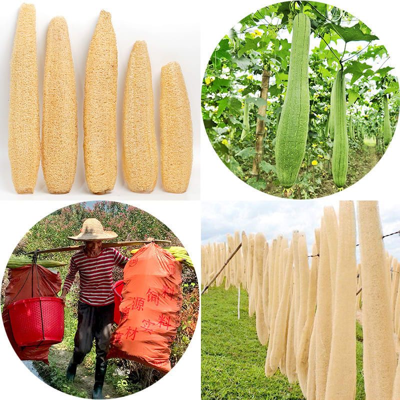 Natural Long Loofah Sponge for Kitchen Cleaning, Non-Stick Dish Scrubber, Eco-Friendly Plant Fiber Scouring Pad with Hanging Rope, Versatile for Pots, Pans, and Cookware (L, OPP)
