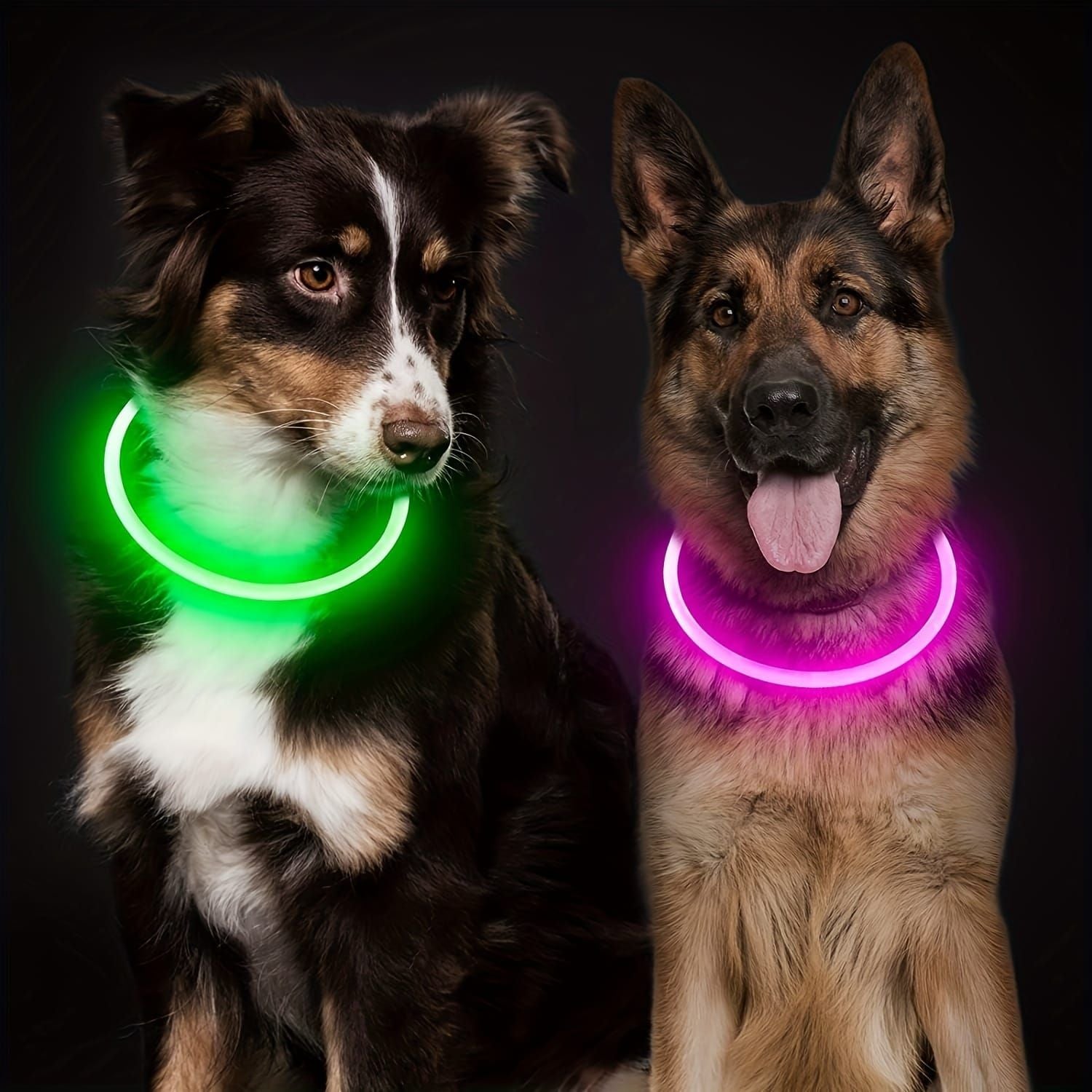 USB Rechargeable LED Glow Pet Collar, Soft Silicone Night Safety Dog & Cat Collar with 6 Colors, 3 Modes, Adjustable Length for Small, Medium, Large Pets, Ideal for Evening Walks and Outdoor Visibility (L, Purple)