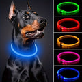 USB Rechargeable LED Glow Pet Collar, Soft Silicone Night Safety Dog & Cat Collar with 6 Colors, 3 Modes, Adjustable Length for Small, Medium, Large Pets, Ideal for Evening Walks and Outdoor Visibility (M, Blue)