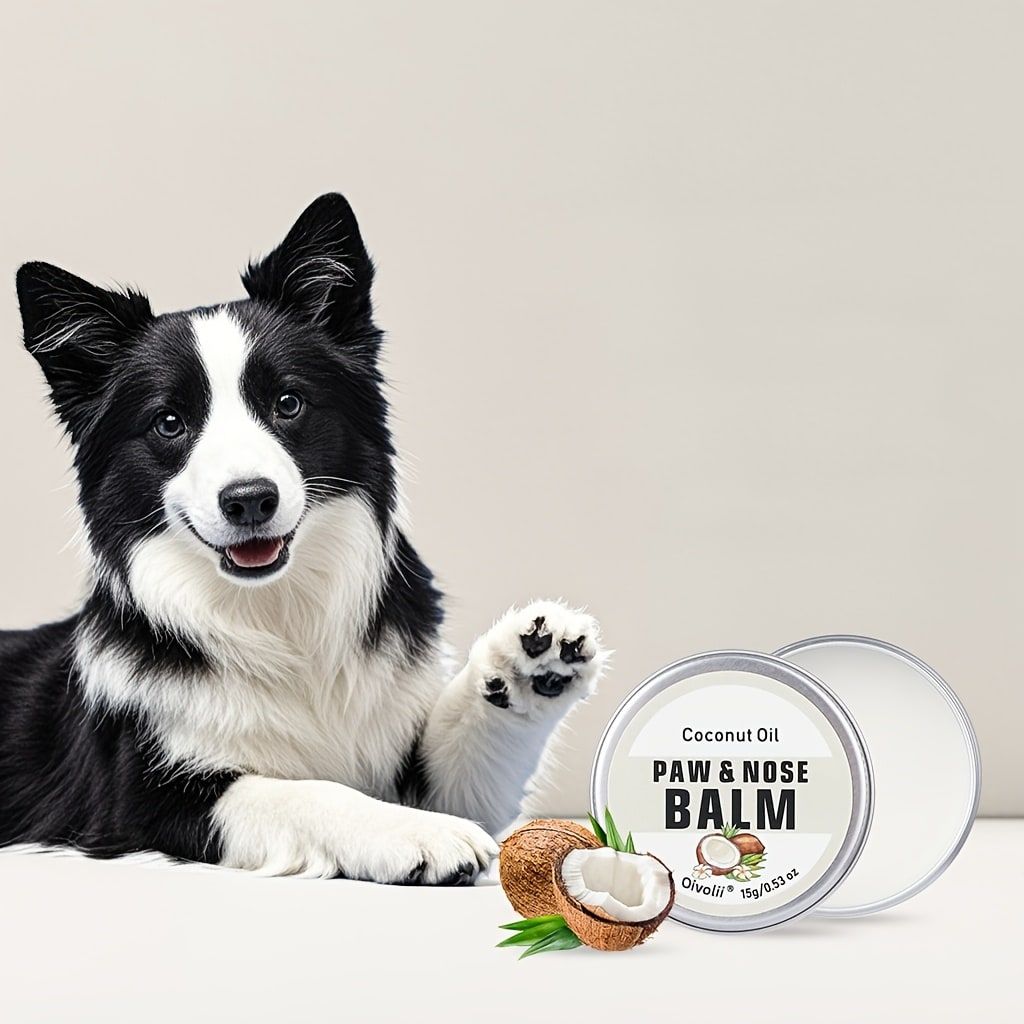 Paw & Nose Care Balm for Dogs and Cats – Deep Moisturizing Treatment for Cracked Pads and Dry Noses, with Coconut Oil or Blueberry Extract, Ideal for Home or On-the-Go Use (OLI00742)