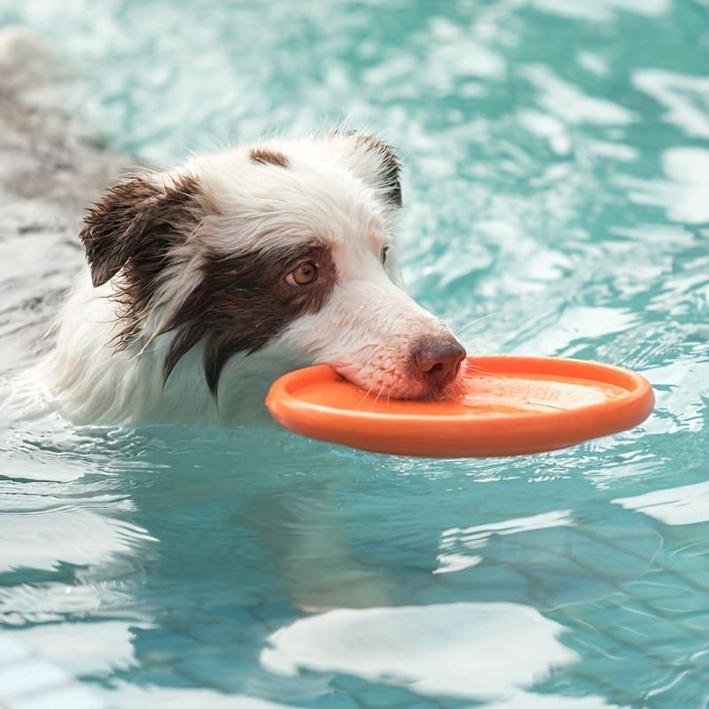 Soft Durable Dog Frisbee for Fetch, Tug, and Water Play – Non-Toxic Rubber Flying Disc with Paw Print Design, Perfect for Outdoor Training, Beach, and Pool Fun with Large, Medium, and Small Breeds (L, Blue)