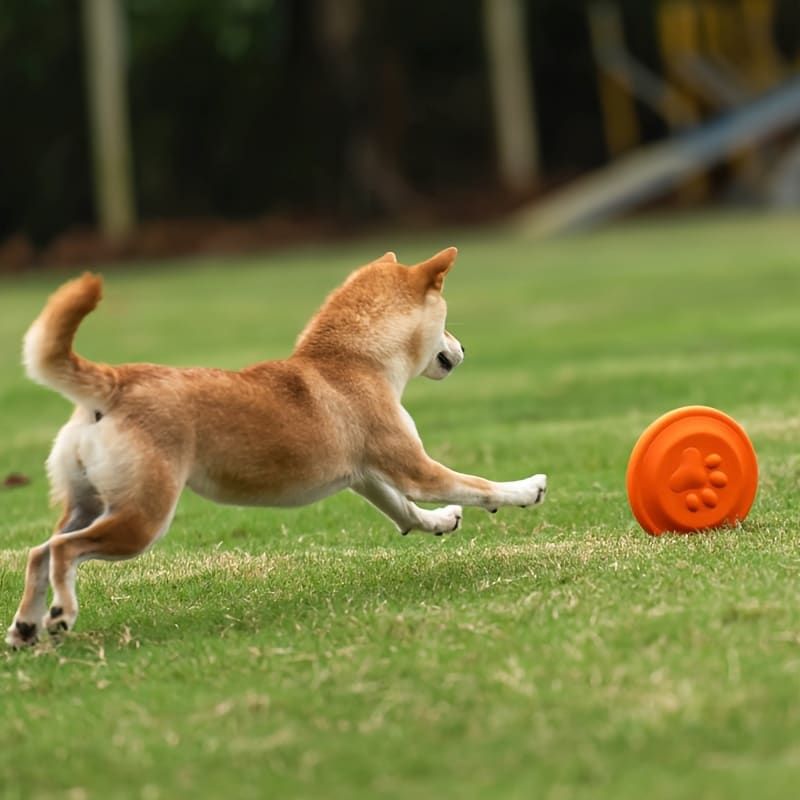 Soft Durable Dog Frisbee for Fetch, Tug, and Water Play – Non-Toxic Rubber Flying Disc with Paw Print Design, Perfect for Outdoor Training, Beach, and Pool Fun with Large, Medium, and Small Breeds (L, Orange)