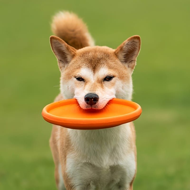 Soft Durable Dog Frisbee for Fetch, Tug, and Water Play – Non-Toxic Rubber Flying Disc with Paw Print Design, Perfect for Outdoor Training, Beach, and Pool Fun with Large, Medium, and Small Breeds (S, Orange)