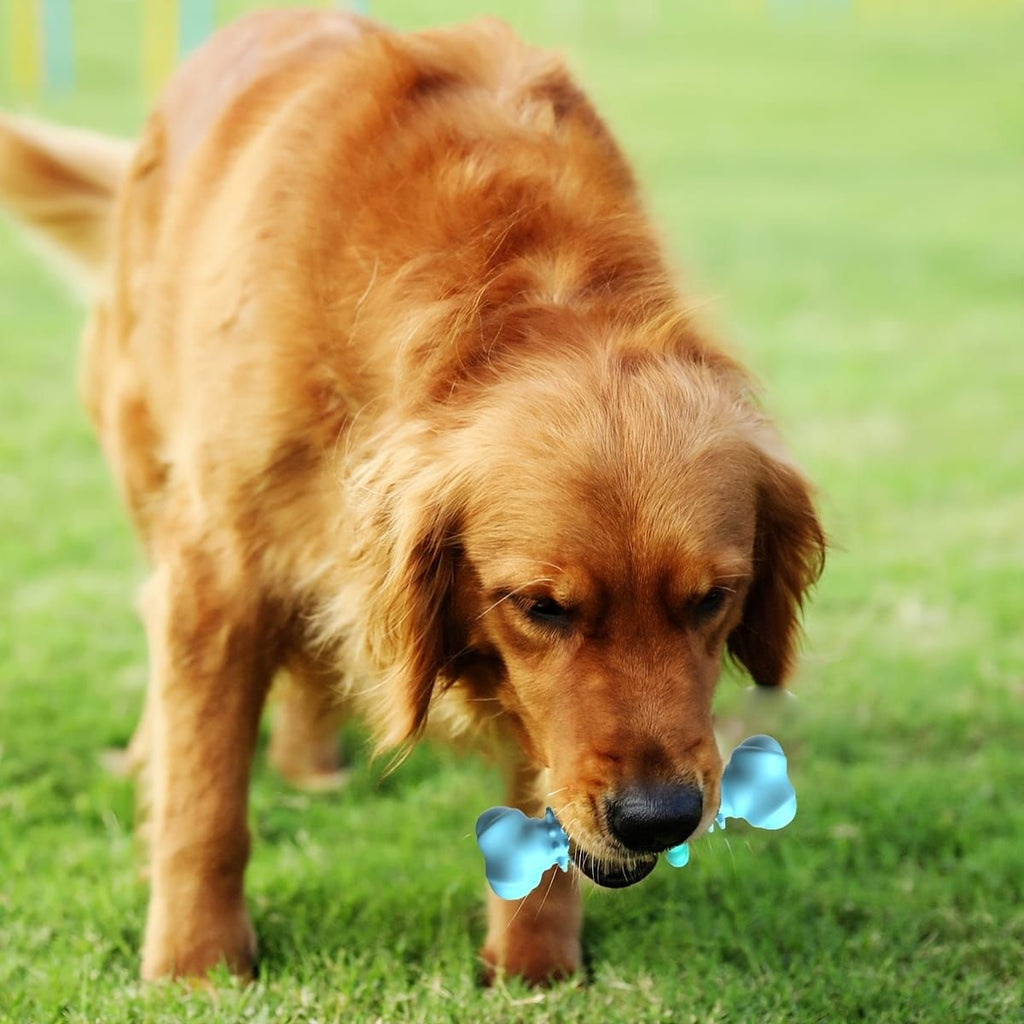 Durable Dog Chew Toy for Aggressive Chewers – Fun Bone-Shaped Dental Toy with Flower Ring Design, Ideal for Medium to Large Dogs, Great for Teeth Cleaning and Training Rewards (Pink)