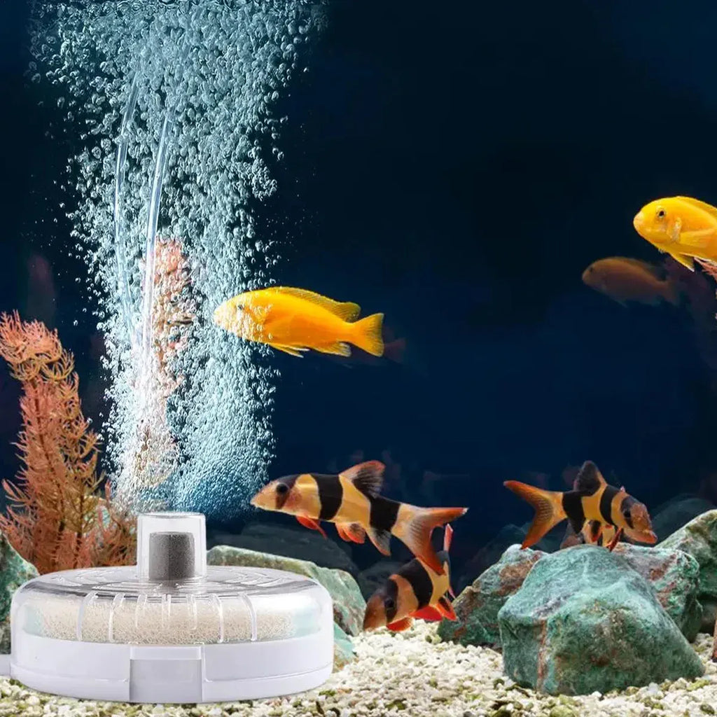 Aquarium Filter Special Mini Small Tank Filter Circle for Freshwater or Marine - 10cm Filter