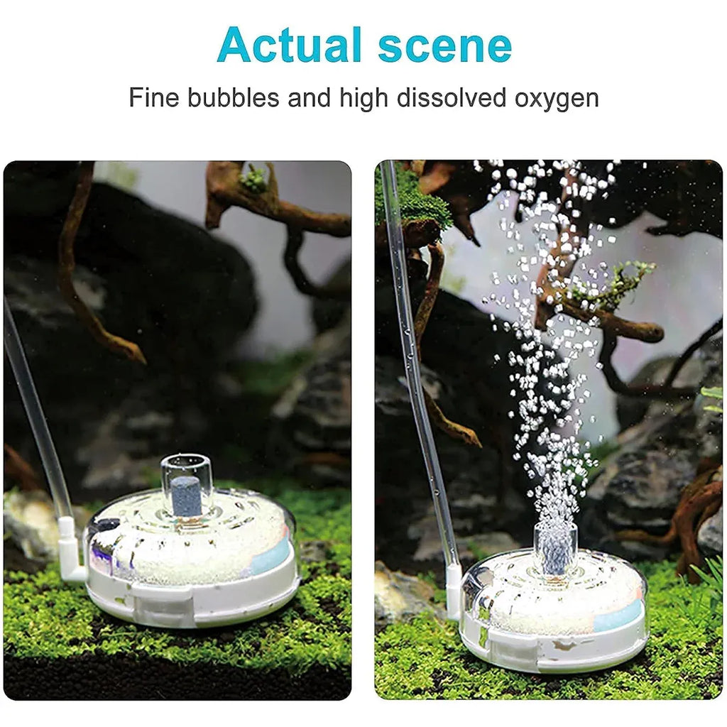 Aquarium Filter Special Mini Small Tank Filter Circle for Freshwater or Marine - 10cm Filter